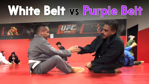 White Belt vs Purple Belt David Dominguez | Circadian MMA (10-18-2022)