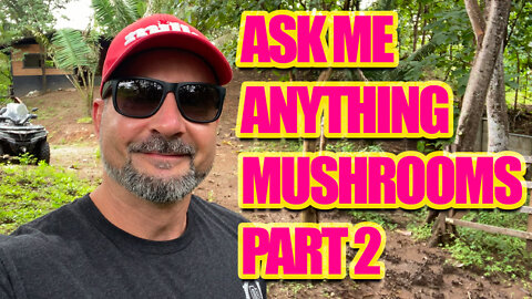 YOUR MUSHROOM AND PERSONAL QUESTIONS ANSWERED EPISODE 2