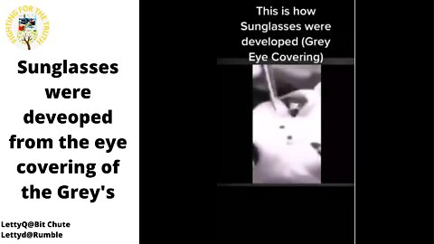 GREYS RETINAS FROM THEIR EYES WERE USED TO MAKE LENSES?
