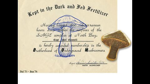 The Brotherhood of Underground Mushroomers Deep Underground Cold War Nerve Centre NORAD