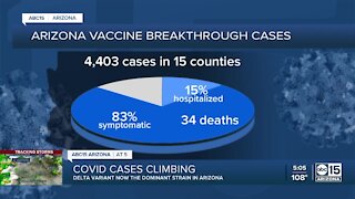 Delta variant of COVID-19 now dominant strain in Arizona