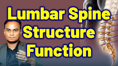 Structure & Function of Lumbar Spine related to Lumbar Spindylosis, Lower Back Pain Treatment & Cure