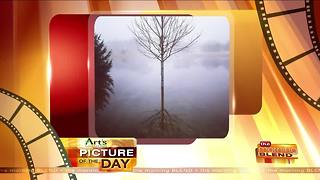 Art's Cameras Plus Picture of the Day for February 28!