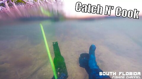 Fishing the Mangroves for Snapper and Lobster | catch n cook