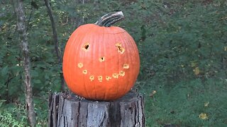 Pumpkin Carving with the FN 545 Suppressed!