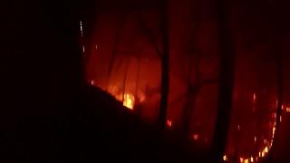 Full Dashcam Video From Sevier County Wildfires