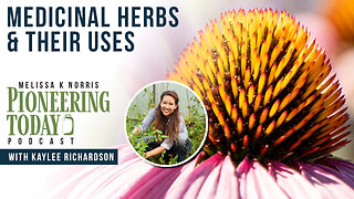 EP: 405 Medicinal Herbs & Their Uses with Kaylee Richardson