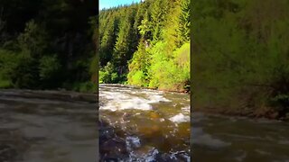 Flowing Water and Nature Sounds #flowingwatersound #flowingwatersounds #naturesounds