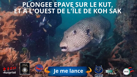 😜#Plongée sur l’épave htms kut, et à l'ouest de l'île de koh Sak près de koh larn à Pattaya