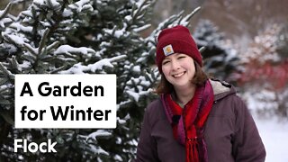 Plants for a WINTER GARDEN — Ep. 069