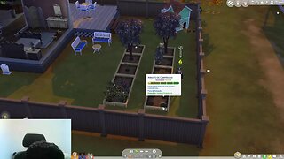 Matando sdd de fazer live bom dia The Sims 4