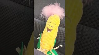 corn song, visits Ice cream truck