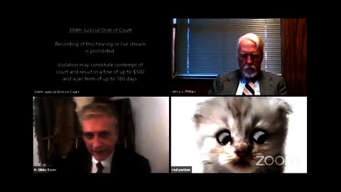 A lawyer accidently using Zoom Cat filter while on online Court