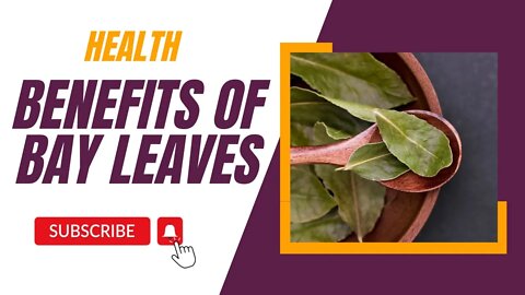 10 Health Benefits of Bay Leaves That You Didn't Know About