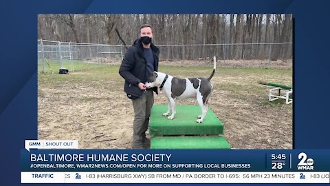 Baltimore Humane Society is open!