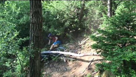 Ciclista sbatte contro un albero e lo spezza