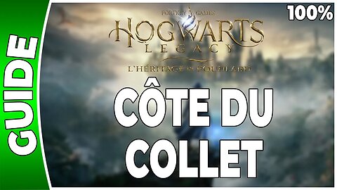 Hogwarts Legacy : l'Héritage de Poudlard - CÔTE DU COLLET - 100% Coffres, Pages, Demiguises