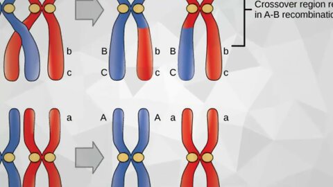 Gene Source Code Chain Price Prediction 2022, 2025, 2030 GENE Cryptocurrency Price Prediction