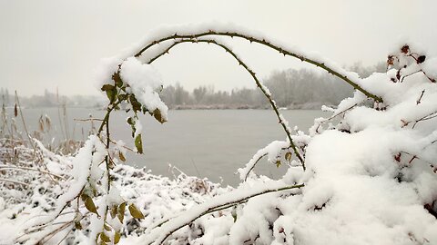 Snowy winter landscapes in Hungary, calm nature