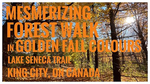 Mesmerizing Forest Walk in Golden Fall Colours | Lake Seneca Trail | King City, ON 🇨🇦 |Workout |4k