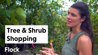 What OUTDOOR PLANTS Should We Get? Tioga Gardens — Ep 015