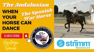 An Inside Look at The Spanish War Horse See The Andalusian Horse Small Town America Heritage Series