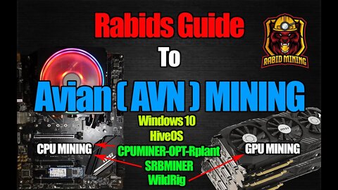 How To Mine The NEW Avian (AVN) Coin LIKE A BOSS | Win 10 Hive OS
