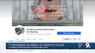 Veterans battling with PTSD in need of service dogs