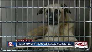 Tulsa mayor introduces animal welfare plan