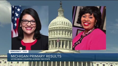 Michigan Primary Election: Race results