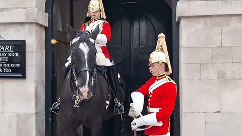 Horse takes a swing for the kings life guard #horseguardsparade