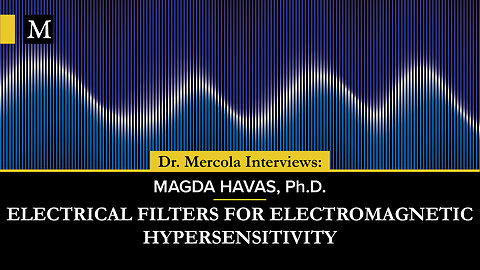 Electrical Filters for Electromagnetic Hypersensitivity – Interview With Magda Havas Ph.D.