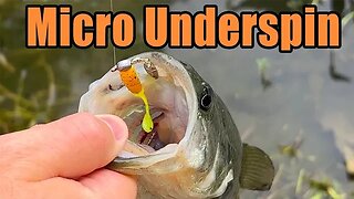 Micro Finesse Underspin Jig - Underwater Swim Tank & Bass Panfish Fishing Footage