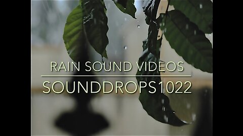 Raindrop Melodies: A Brief Ambient Journey