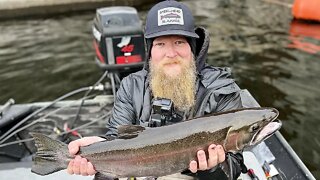 Grinding For Early Winter Steelhead In Michigan