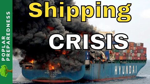 Government “FIXED” Shipping - Empty Shelves, Food Shortages, and Supply Chain Crumbling