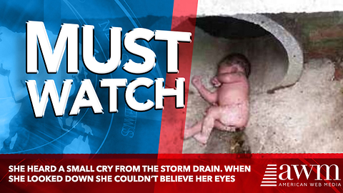 She Heard A Small Cry From The Storm Drain. When She Looked Down She Couldn’t Believe Her Eyes