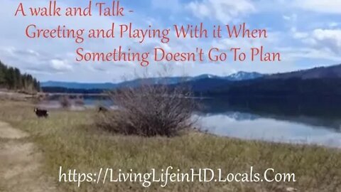 A walk and Talk -greeting and playing with it when something doesn't go to plan