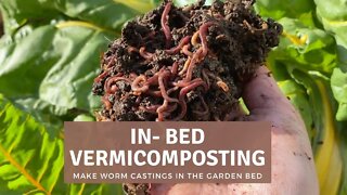 IN - BED VERMICOMPOSTING: Make castings and compost directly in your garden bed
