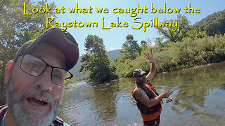 Look at what we caught below the Raystown Lake Spillway
