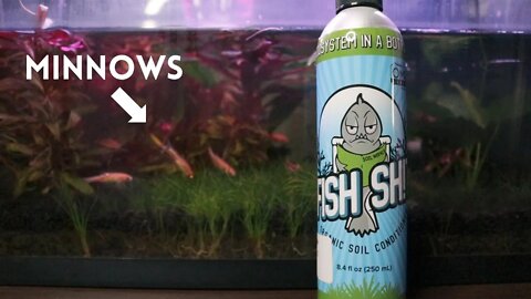 FISH SH!T vs Aquaponics