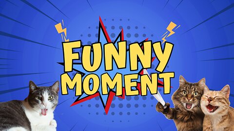 1 Hour of Funny Moments - Funny Videos 2023