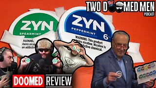 Zyn Review