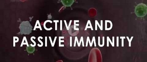 Immunisation and types of immunity / Active and passive immunity!