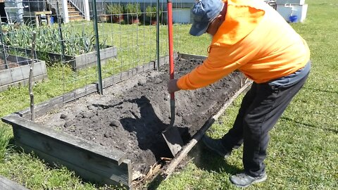 BACK YARD GARDEN (Box Rot Repair)