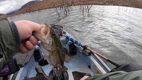 Fishing My Own PRIVATE RESERVOIR (Spinnerbait Slugfest)