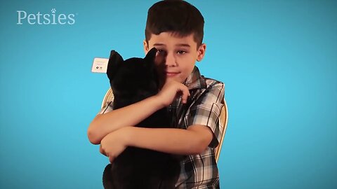 4 Kids Surprised With Custom Stuffed Animals of Their Past Pets