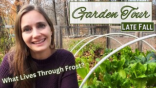 Garden Tour AFTER the First Frost | Fall Vegetable Garden Tour, Zone 6