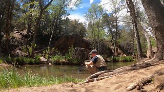 Fishing Arizona: Willow Springs Lake/Haigler Creek