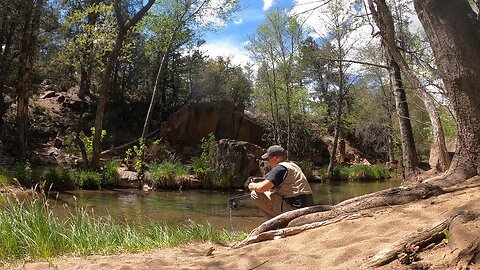 Fishing Arizona: Willow Springs Lake/Haigler Creek